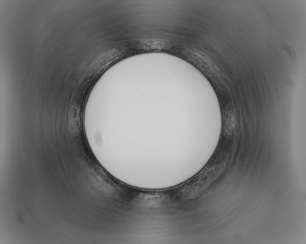 X0000113120414200909251116