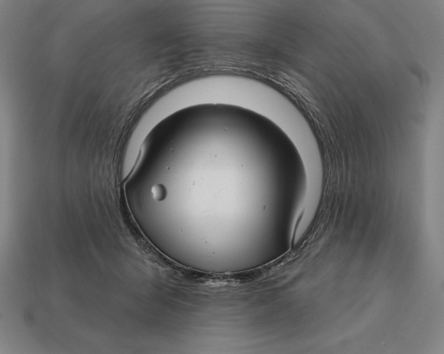 X0000113120415200909251116