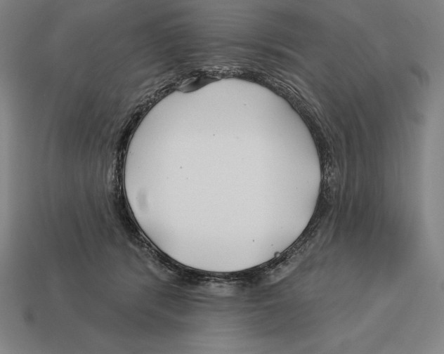 X0000113120416200909251116