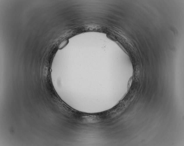 X0000113120417200909251116