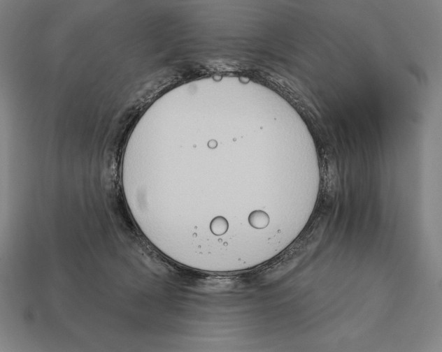 X0000113120418200909251116