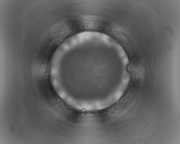 X0000113120419200909251116