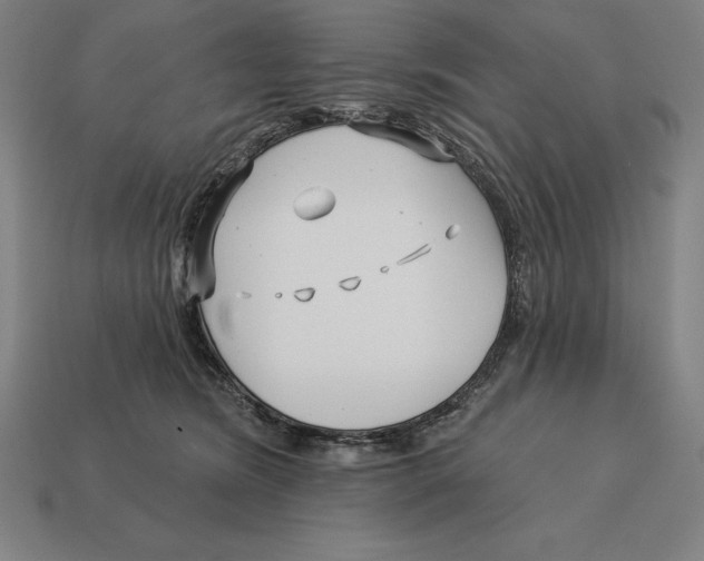 X0000113120420200909251116