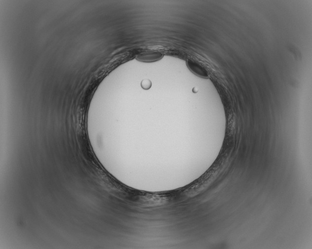 X0000113120421200909251116