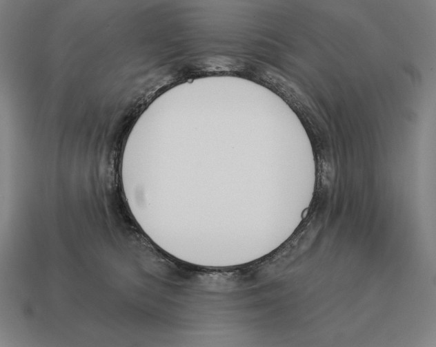 X0000113120422200909251116