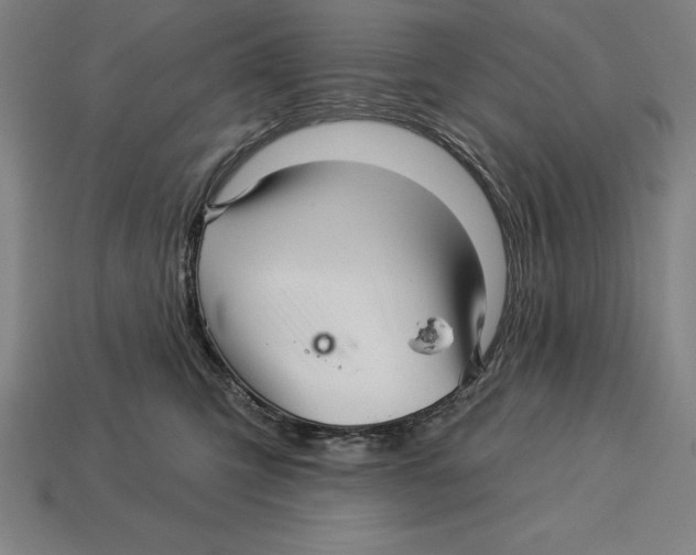X0000113120423200909251116