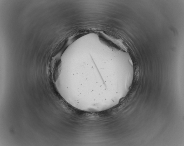 X0000113120424200909251116
