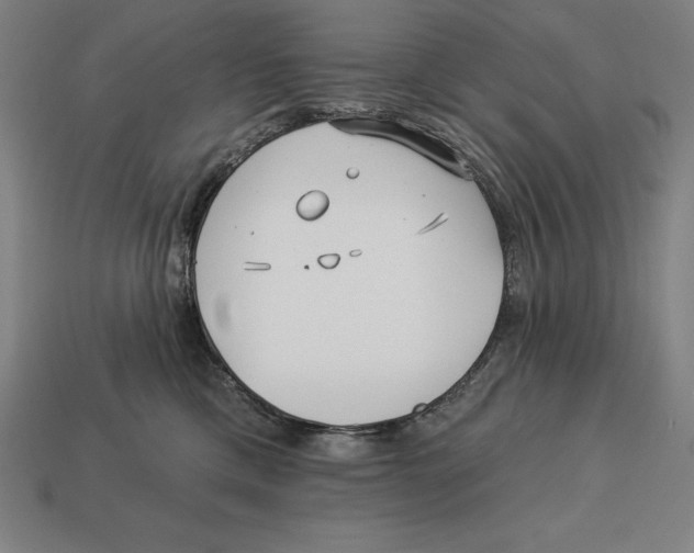 X0000113120425200909251116