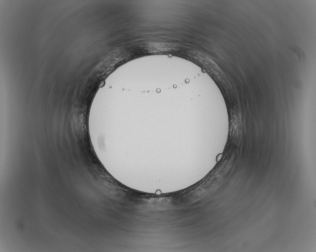 X0000113120426200909251116