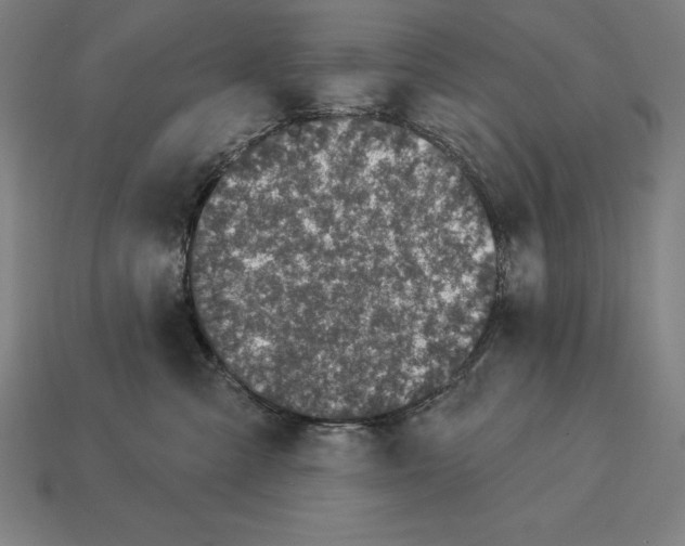 X0000113120427200909251116