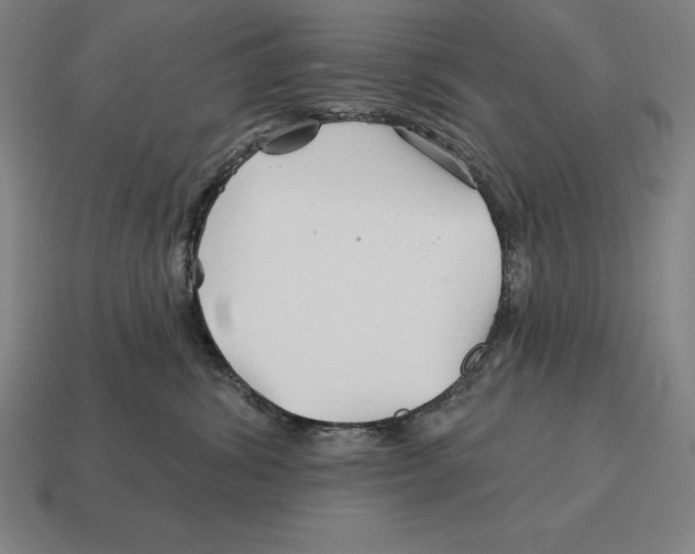 X0000113120428200909251116