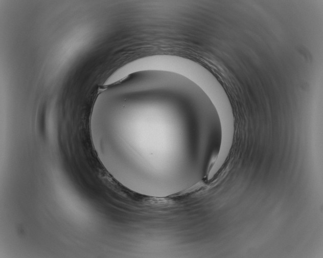 X0000113120429200909251116