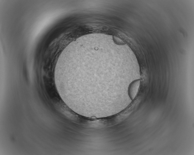 X0000113120430200909251116