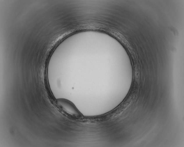 X0000113120434200909251116