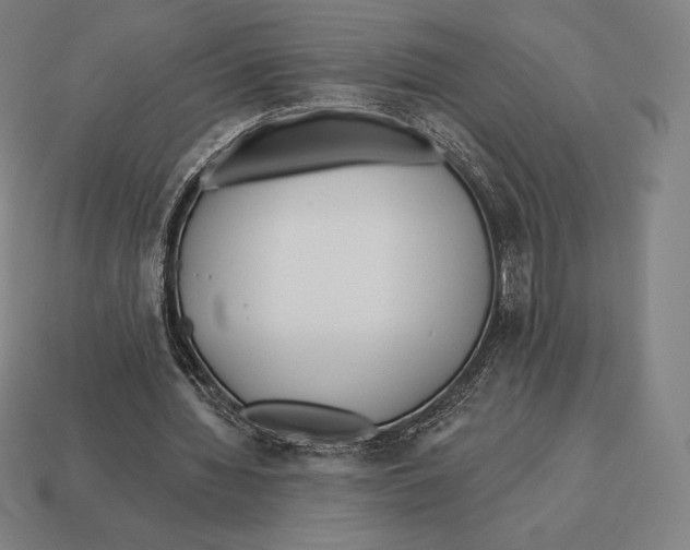 X0000113120436200909251116