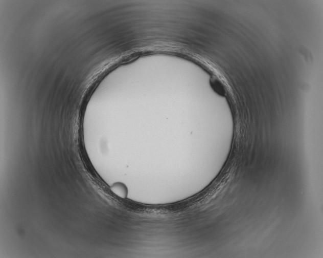 X0000113120437200909251116