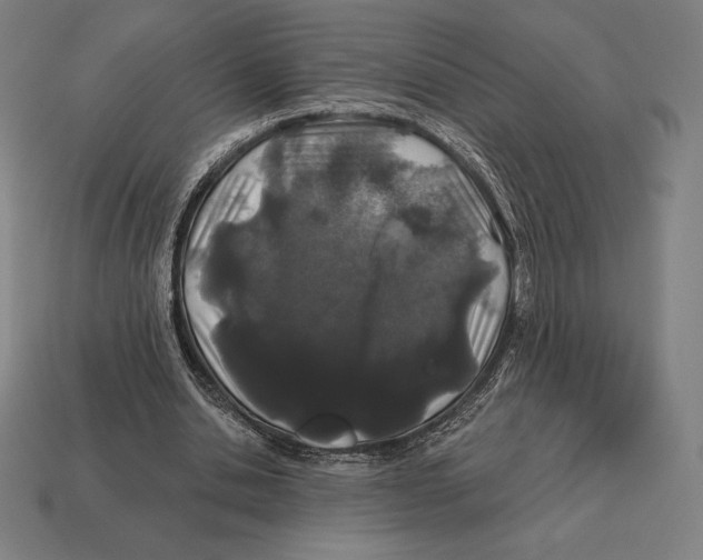 X0000113120438200909251116