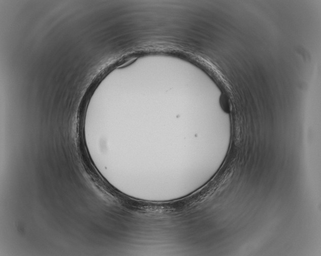 X0000113120439200909251116