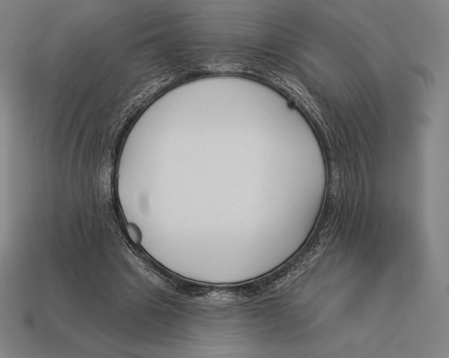 X0000113120441200909251116
