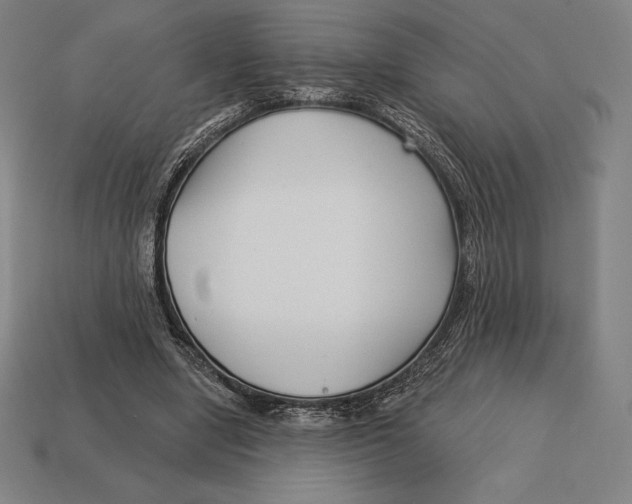 X0000113120442200909251116
