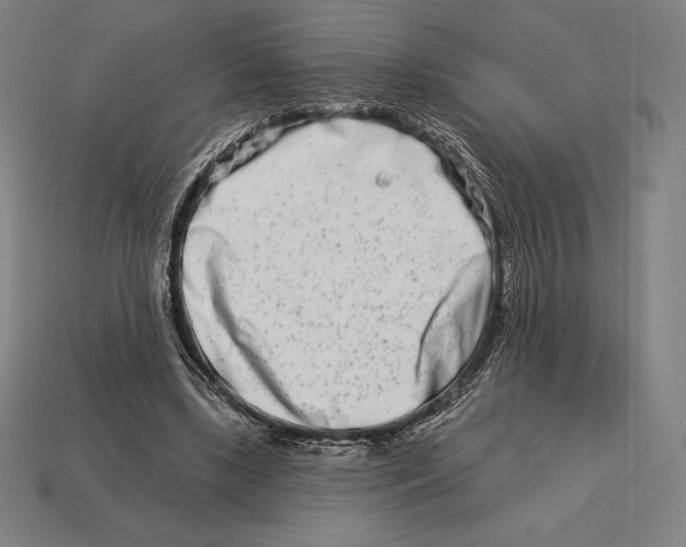 X0000113120443200909251116