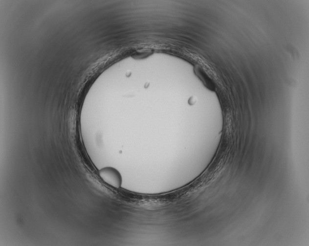 X0000113120445200909251116