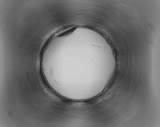 X0000113120446200909251116