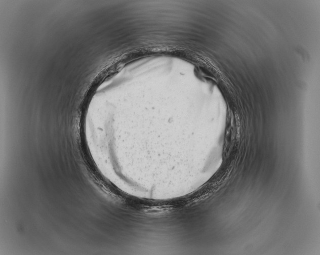 X0000113120447200909251116