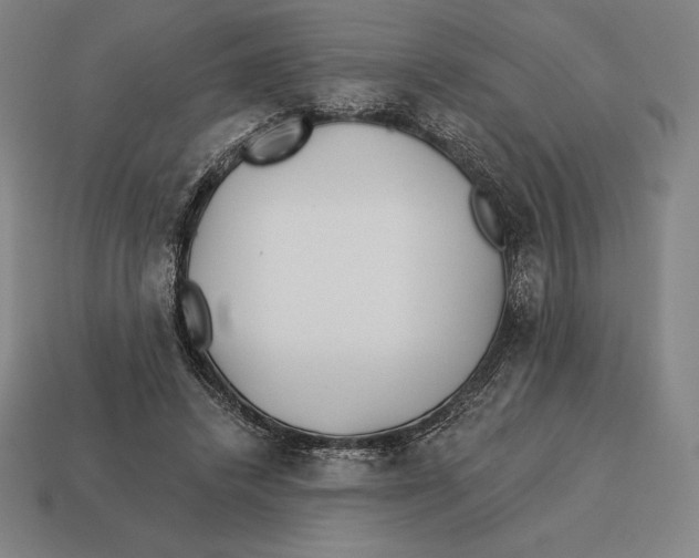 X0000113120448200909251116