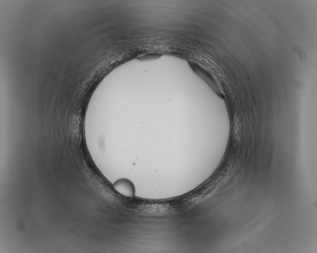 X0000113120449200909251116