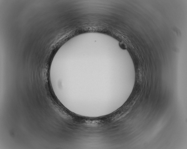 X0000113120450200909251116