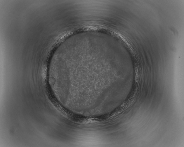 X0000113120451200909251116
