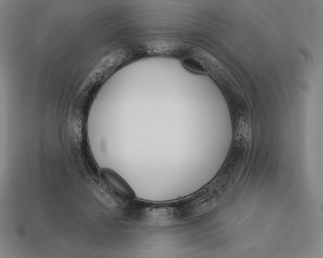 X0000113120452200909251116