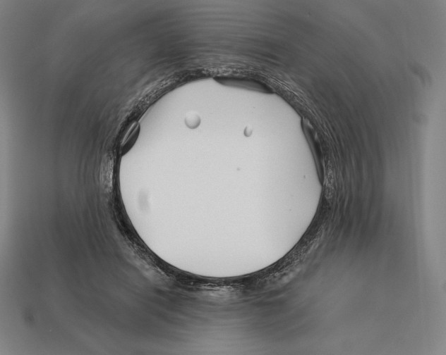 X0000113120454200909251116