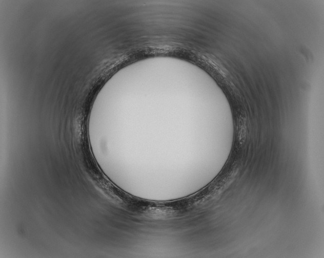 X0000113120455200909251116