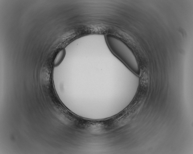 X0000113120456200909251116