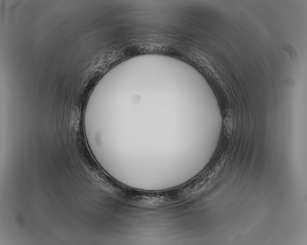 X0000113120458200909251116