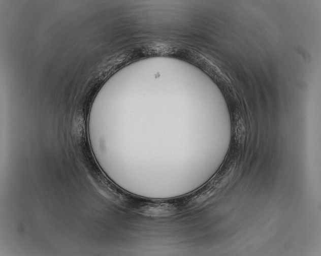 X0000113120459200909251116