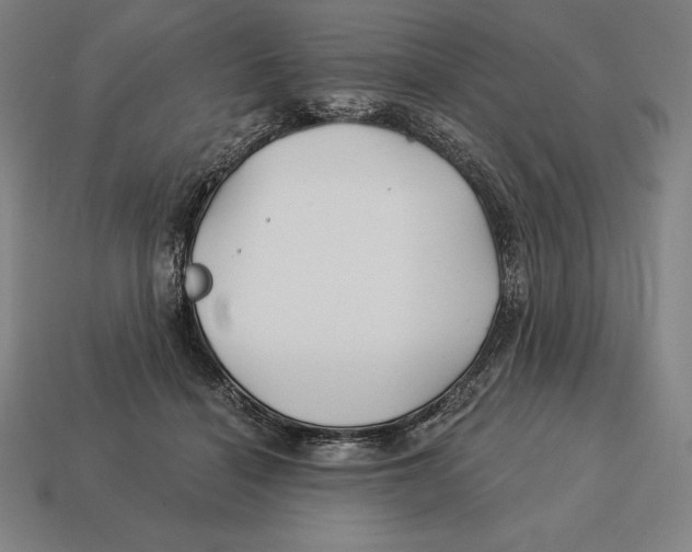 X0000113120460200909251116