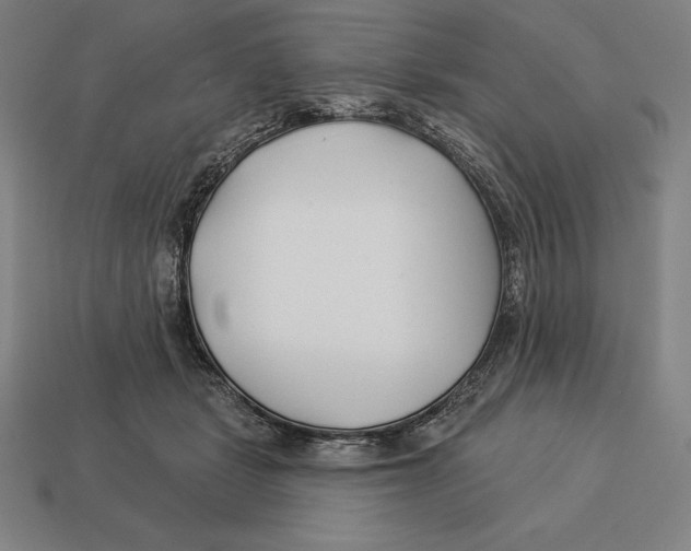 X0000113120461200909251116