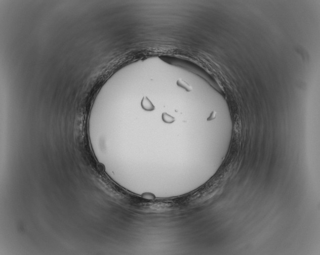 X0000113120462200909251116