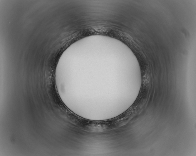X0000113120464200909251116