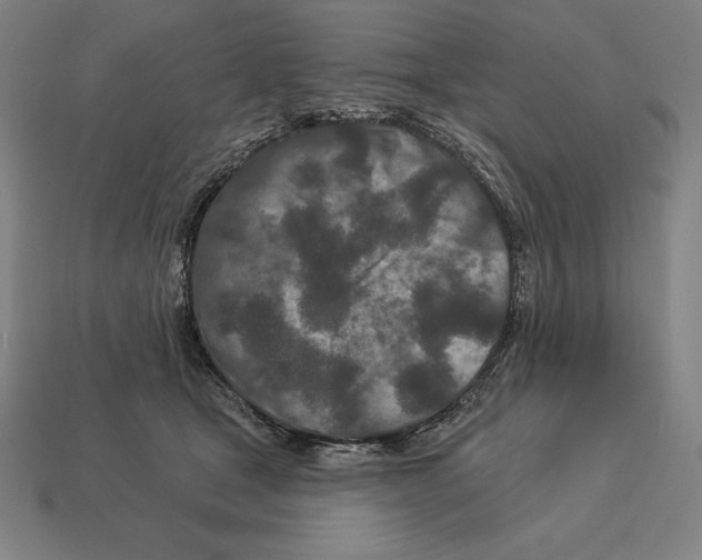 X0000113120465200909251116