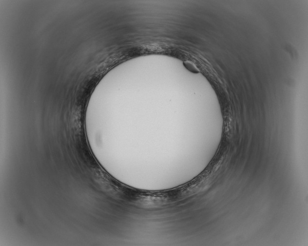 X0000113120466200909251116