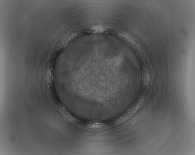 X0000113120467200909251116