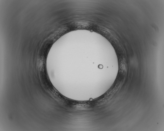 X0000113120468200909251116