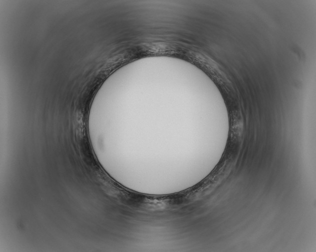 X0000113120469200909251116