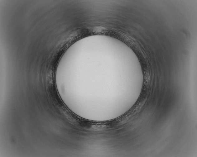 X0000113120470200909251116