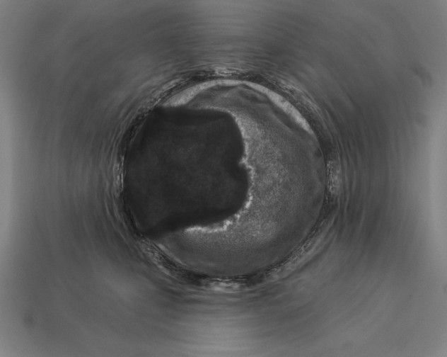 X0000113120471200909251116