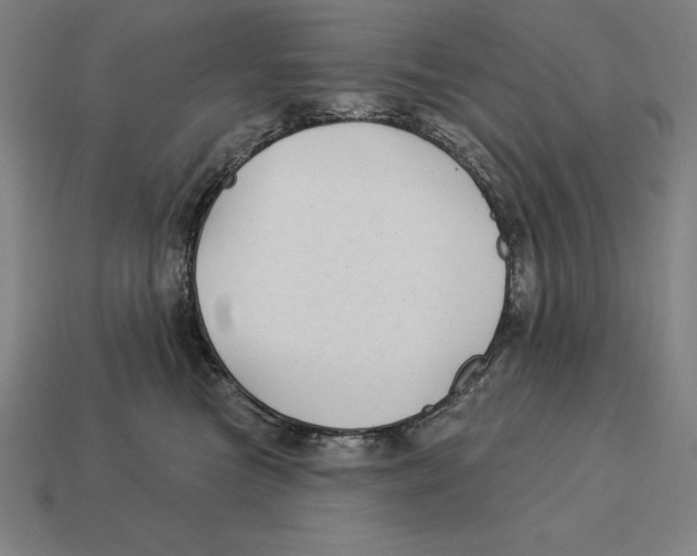 X0000113120473200909251116